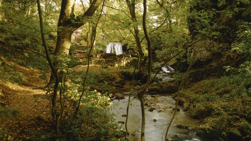 Janet's Foss wetland site on the Malham Tarn Estate in the Yorkshire Dales in autumn